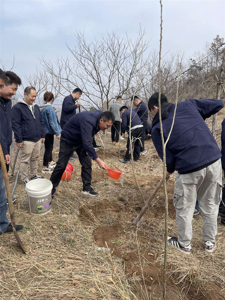 1277星际电子(中国游)官方游戏网址