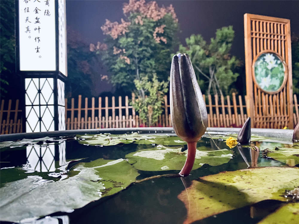 1277星际电子(中国游)官方游戏网址